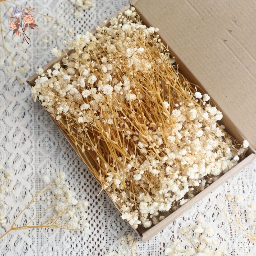 Resin Craft Ideas - 100個入りミニドライカスミソウ、レジン工芸DIY、家の装飾、結婚式の飾り、リアルタッチのジプソフィラ、小さな束、ギフト用装飾品