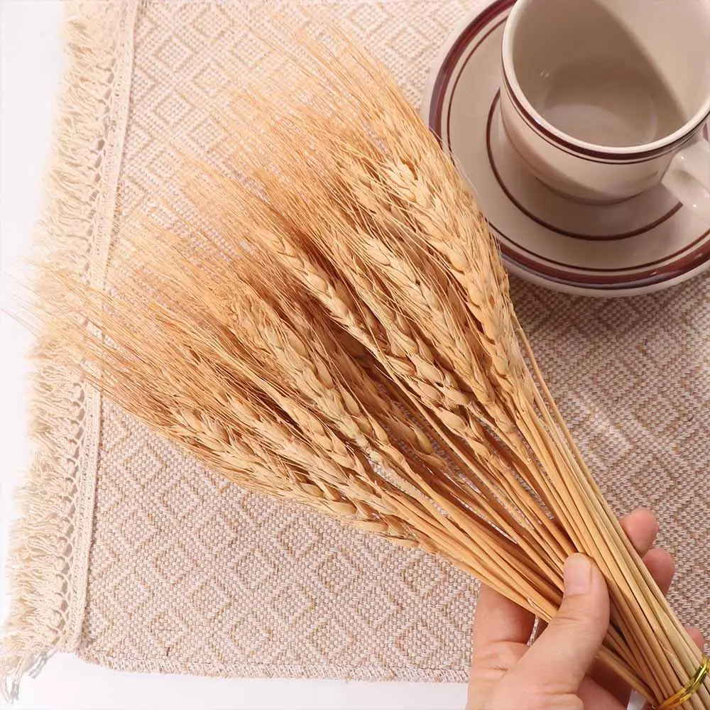 50個入り 人工花 ナチュラル ドライ小麦茎 DIYクラフト - Dried Flower Bulk のレビューと価格