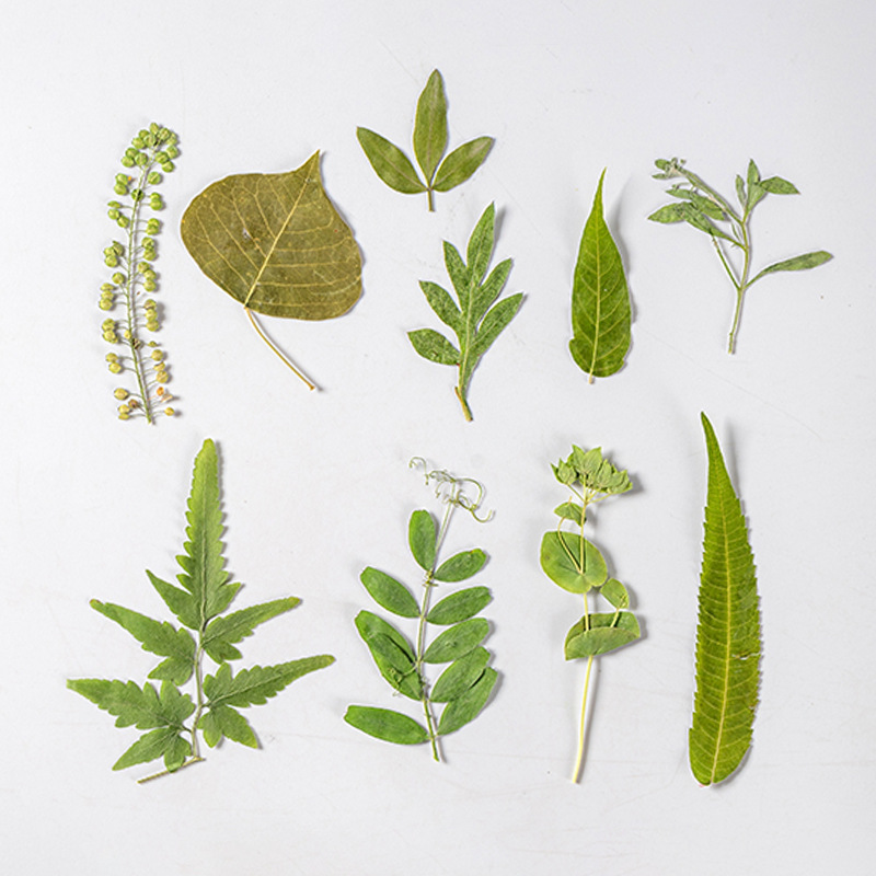 1 セット 35 個押し花ドライフラワー混合葉ハーバリウム樹 - Dried Flower Bulk のレビューと価格