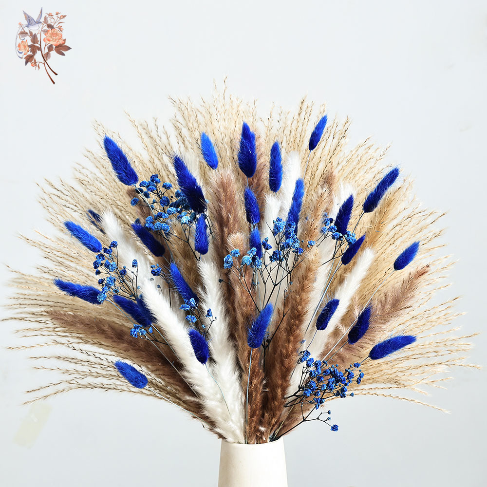 70 茎ブルーふわふわウサギの尻尾ススキの束ドライフラワーブ - Dried Flower Bulk のレビューと価格