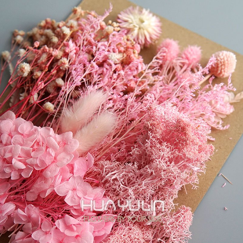 1 パック人工植物ドライ本物の花プリザーブド材料エポキシ樹脂 - Dried Flower Bulk のレビューと価格