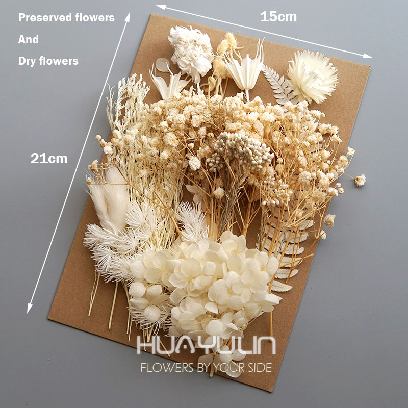 1 パック人工植物ドライ本物の花プリザーブド材料エポキシ樹脂 - Dried Flower Bulk のレビューと価格