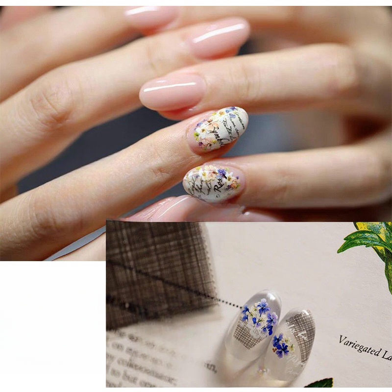 混合小さなドライフラワーネイルアートドライフラワー各種ネイル - Dried Flower Bulk のレビューと価格